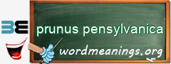 WordMeaning blackboard for prunus pensylvanica